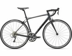 Giant Contend 3 | 2023