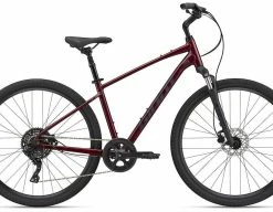 Giant Cypress 2 | 2023