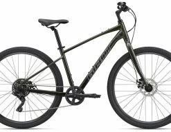 Giant Cypress 3 | 2023