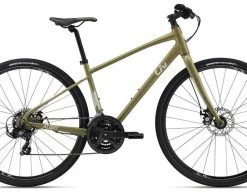 Liv Alight Disque 3 | 2023