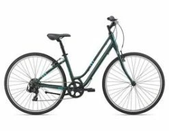 Liv Flourish 4 | 2022