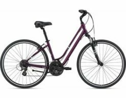 Liv Flourish FS 1 2022 | Femmes