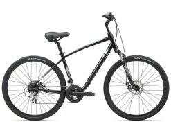 Giant Cypress DX | 2022