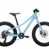 Trek Roscoe 20 2023 | Enfant