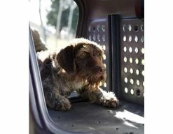 Aragon Coffre D'attelage TowBox V2 Dog Gris 26 Aragon Coffre D'attelage TowBox V2 Dog Gris -Vélos Boutique coffre d attelage towbox v2 dog gris 10