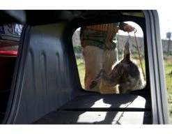 Aragon Coffre D'attelage TowBox V2 Dog Gris 27 Aragon Coffre D'attelage TowBox V2 Dog Gris -Vélos Boutique coffre d attelage towbox v2 dog gris 11